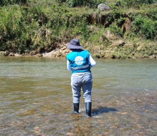 Preocupante mortandad de peces en el río Nus: Cornare intensifica investigaciones
