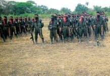 ELN anuncia cese al fuego durante las fiestas de fin de año