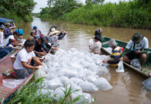 Liberan 100 mil alevines en Puerto Perales para conservar especies nativas y garantizar la pesca sostenible