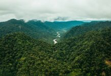 Antioquia revoluciona el turismo con asistente virtual en WhatsApp: descubre destinos al instante