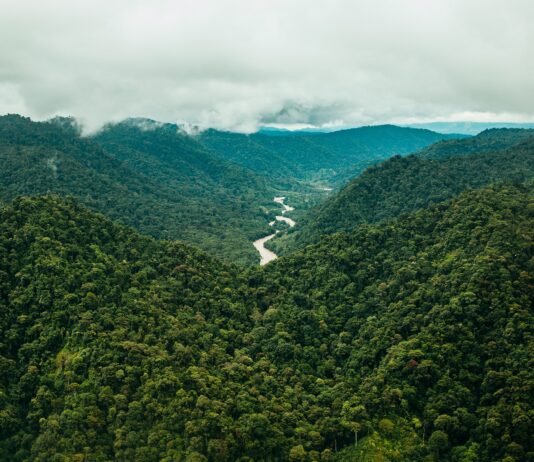 Antioquia revoluciona el turismo con asistente virtual en WhatsApp: descubre destinos al instante