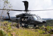 Un regreso lleno de esperanza: liberan a un tigrillo lanudo y un zorro en su hábitat natural tras meses de cuidado