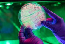 AGROSAVIA enfrenta drástico recorte presupuestal y anuncia medidas para mitigar impacto