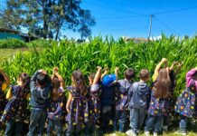 Marinilla inicia atención integral a la primera infancia en los CDIs