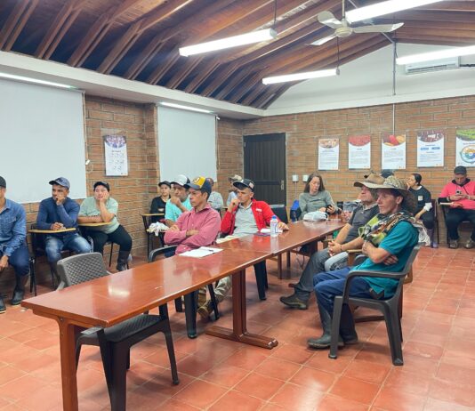 Productores de El Carmen de Viboral avanzan en su formación para el cultivo de cacao