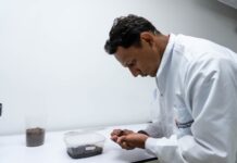 Un hallazgo inédito: descubren en el Caribe colombiano una nueva especie de araña