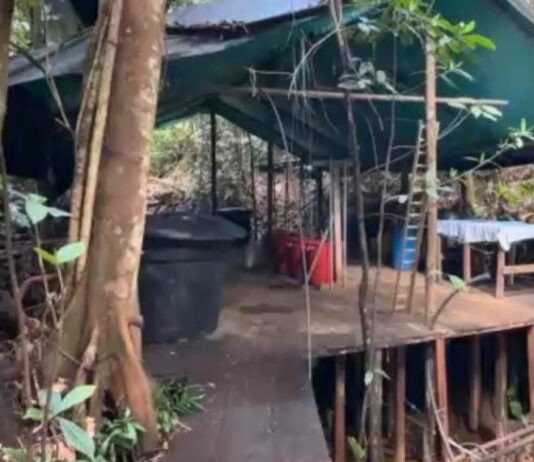 Desmantelan gigantesco laboratorio de cocaína en San Francisco, Antioquia: golpe millonario al Clan del Golfo