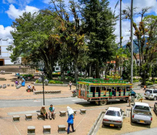 El Oriente también celebra sus árboles más valiosos: inventario patrimonial en marcha