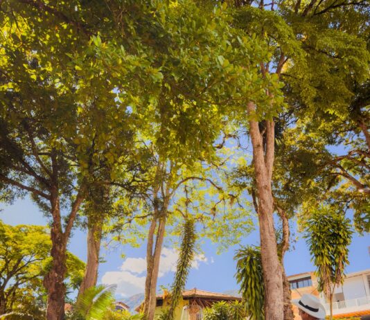 Cocorná refuerza medidas de seguridad: nuevos horarios, restricciones y controles en el espacio público