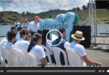 El campo es el protagonista de esta historia