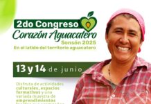 Sonsón será epicentro de innovación y sostenibilidad con el II Congreso Corazón Aguacatero