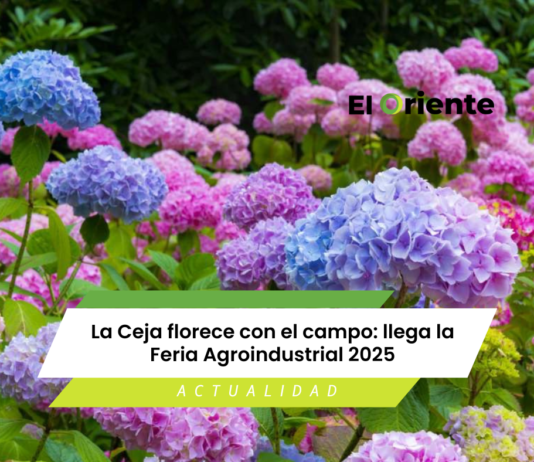 La Ceja florece con el campo: llega la Feria Agroindustrial 2025