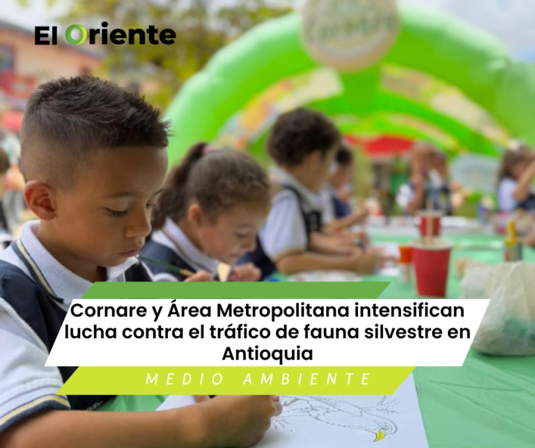 Cornare y Área Metropolitana intensifican lucha contra el tráfico de fauna silvestre en Antioquia Cornare y Área Metropolitana intensifican lucha contra el tráfico de fauna silvestre en Antioquia