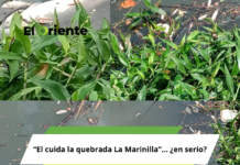 “El cuida la quebrada La Marinilla”… ¿en serio?