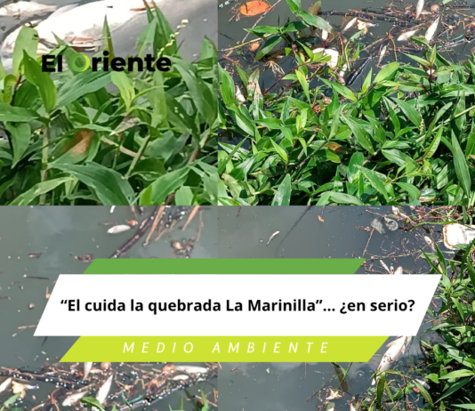 “El cuida la quebrada La Marinilla”… ¿en serio?