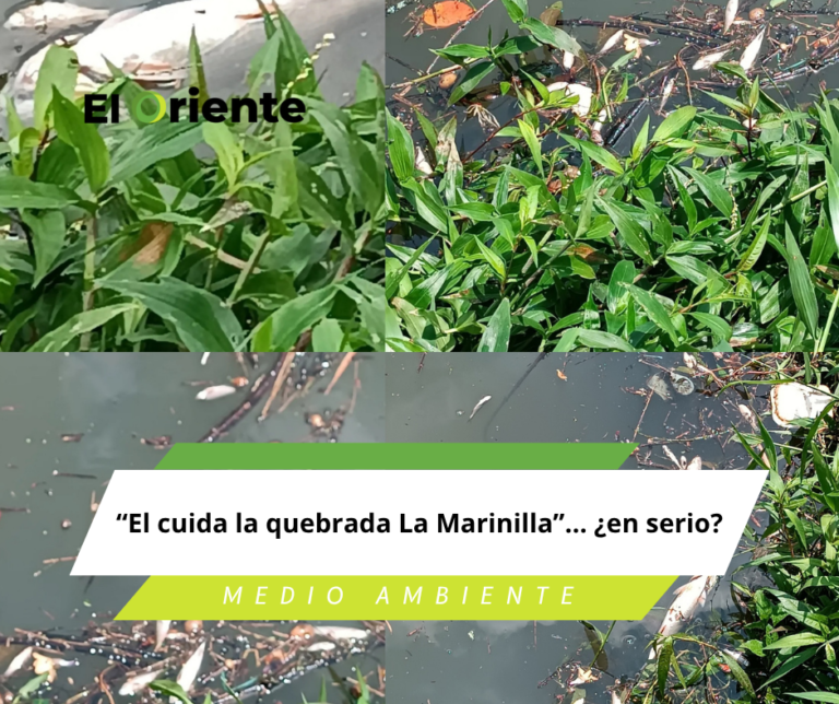 “El cuida la quebrada La Marinilla”… ¿en serio?