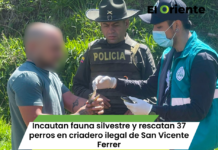 Incautan fauna silvestre y rescatan 37 perros en criadero ilegal de San Vicente Ferrer