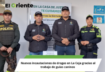 🚨 Nuevas incautaciones de drogas en La Ceja gracias al trabajo de guías caninos 🐕🦺