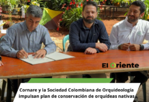 Cornare y la Sociedad Colombiana de Orquideología impulsan plan de conservación de orquídeas nativas