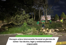 Rionegro aclara intervención forestal en glorieta de Somer: fue técnica, legal y ambientalmente responsable