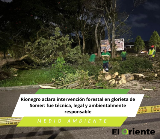 Rionegro aclara intervención forestal en glorieta de Somer: fue técnica, legal y ambientalmente responsable