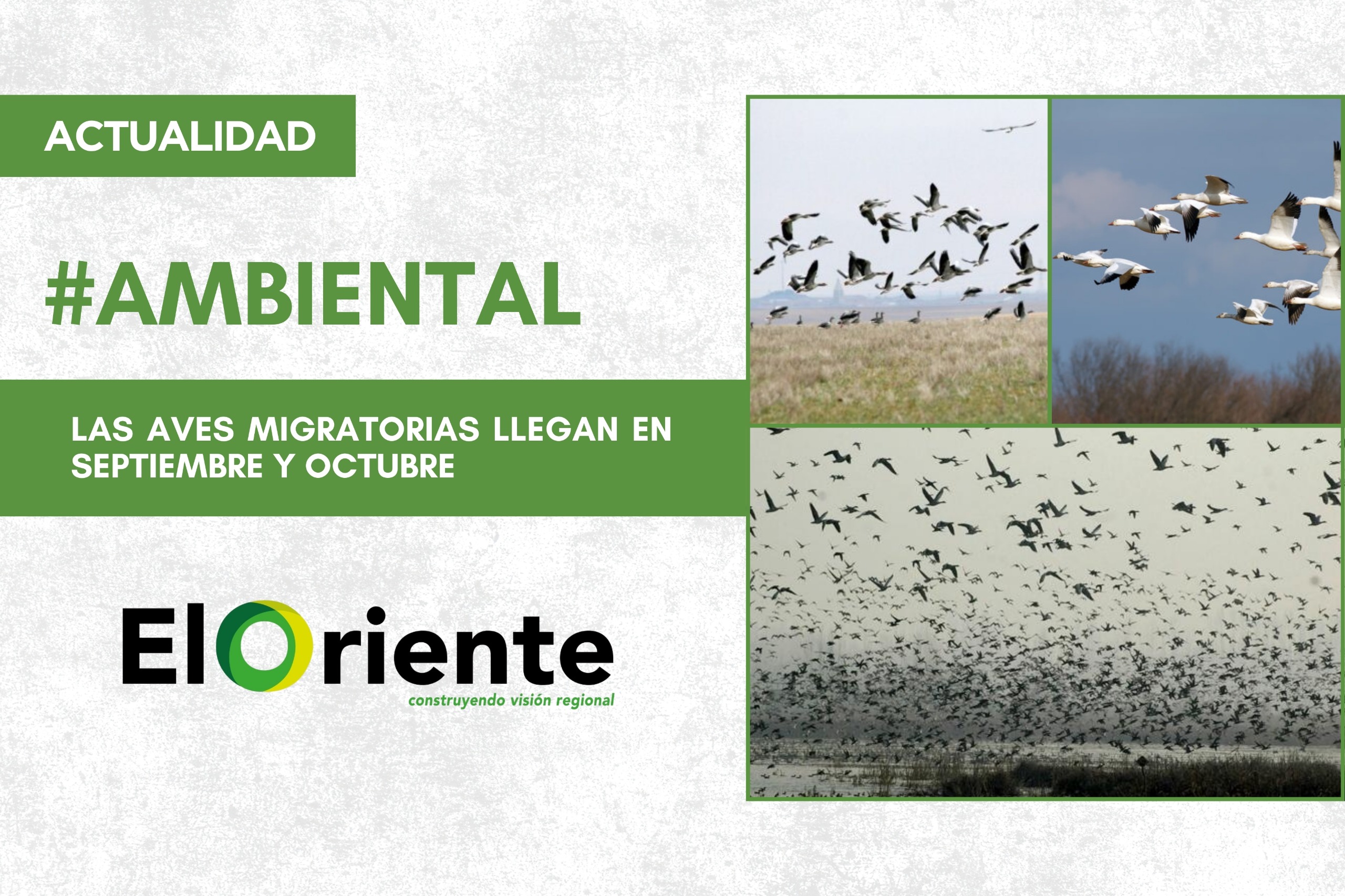 WhatsApp Image 2025-09-16 at 11.39.42 PM (4)