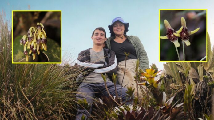 DescubrimientoPáramo