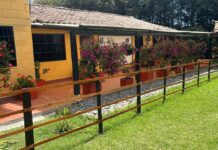 Avícola Kakaraka: pionera en sostenibilidad e innovación en el sector avícola colombiano