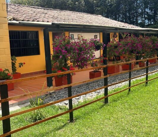 Avícola Kakaraka: pionera en sostenibilidad e innovación en el sector avícola colombiano