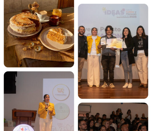 Nuevos reconocimientos y capital semilla en concurso “Ideas que se cuidan y florecen”