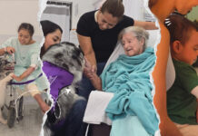 Terapia de cuatro patas: innovación en la recuperación de pacientes quemados