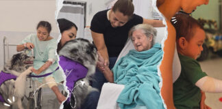 Terapia de cuatro patas: innovación en la recuperación de pacientes quemados