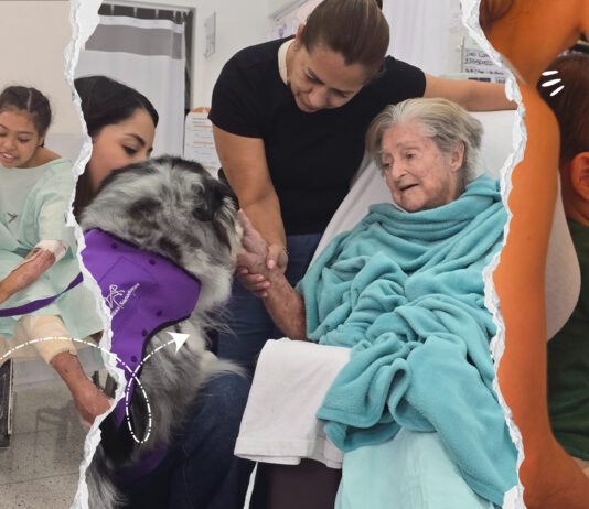Terapia de cuatro patas: innovación en la recuperación de pacientes quemados