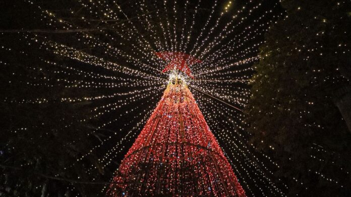 WhatsApp Image 2025-12-01 at 10.16.25 AM (1)