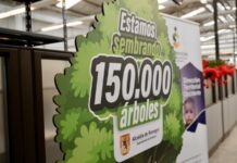 RIONEGRO RECONOCE A 383 FAMILIAS RURALES CON MÁS DE $820 MILLONES POR PROTEGER LOS ECOSISTEMAS DEL MUNICIPIO