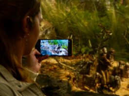 “NO TENGAN MIEDO”, EL PESEBRE EN EL CARMEN DE VIBORAL MARCADO POR LA RESILIENCIA TRAS UN INCENDIO