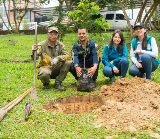 Cornare y el Jardín Botánico de Medellín impulsan la ecología urbana en 26 municipios del Oriente antioqueño