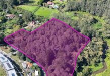 El Retiro en cifras: inversión, obras estratégicas y la hoja de ruta hacia la Visión 2050