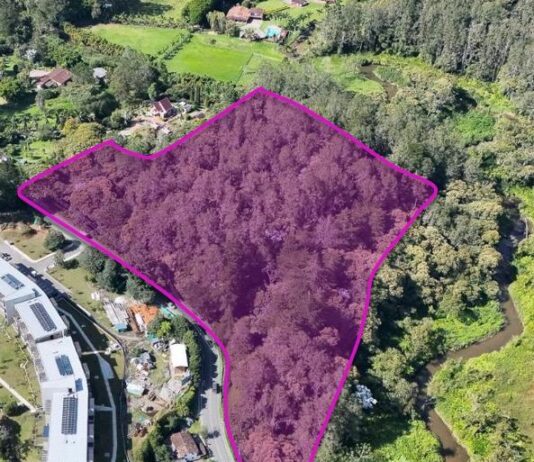 El Retiro en cifras: inversión, obras estratégicas y la hoja de ruta hacia la Visión 2050