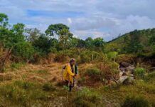 Guardacuencas Antioquia presentó balance de gestión 2025 con vigilancia sobre más de 58 mil hectáreas