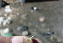 Una aguja mal dispuesta dejó lesionada a una operaria de EEPP de La Ceja