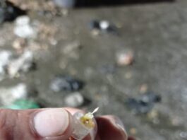 Una aguja mal dispuesta dejó lesionada a una operaria de EEPP de La Ceja