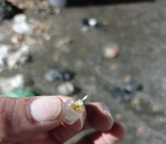 Una aguja mal dispuesta dejó lesionada a una operaria de EEPP de La Ceja