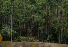 Inició la excavación del túnel Seminario 2 en la segunda etapa del Túnel de Oriente