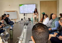 La CEO abrió dos licitaciones por $8.070 millones para dotación musical y formación docente en el Oriente y Segovia