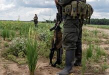 Ideas para la Paz advierte aumento del 23 % en miembros de grupos armados y récord de disputas en Colombia.