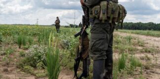 Ideas para la Paz advierte aumento del 23 % en miembros de grupos armados y récord de disputas en Colombia.