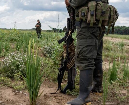 Ideas para la Paz advierte aumento del 23 % en miembros de grupos armados y récord de disputas en Colombia.
