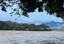 Alerta roja en el río Cauca: 10 municipios de Antioquia en máxima vigilancia por riesgo de inundación