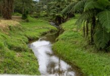 Cornare supervisó obras de mantenimiento en caños y quebradas de La Ceja para prevenir emergencias.